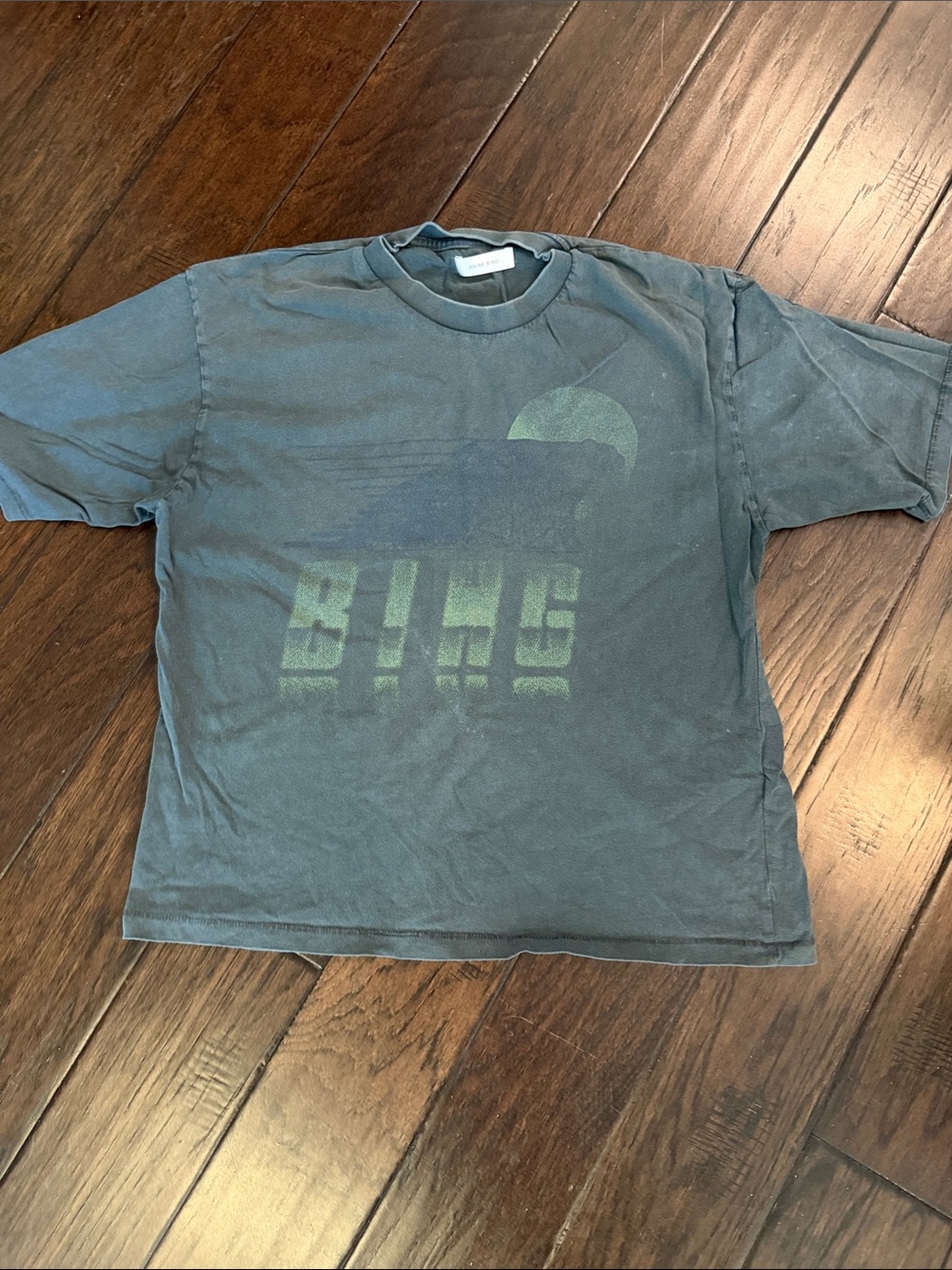 Anine Bing Women’s Vintage-Style Tee slate gray with BING Green Graphic (small)